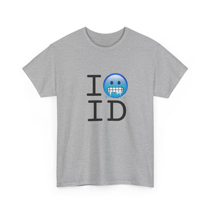 "I'm Cold in Idaho" Tee
