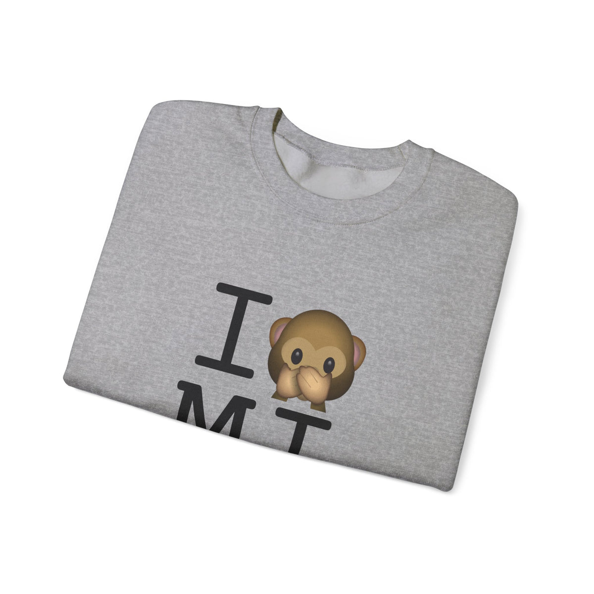 "I Don't Speak about Michigan" Sweatshirt