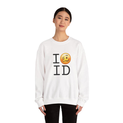 "I'm Drunk in Idaho" Sweatshirt