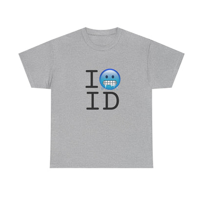 "I'm Cold in Idaho" Tee