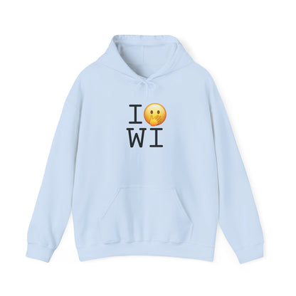 "I Messed Up (Oops) in Wisconsin" Hoodie