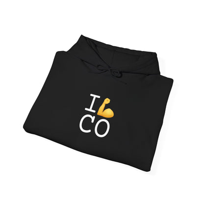 "I Flex in/on Colorado" Hoodie