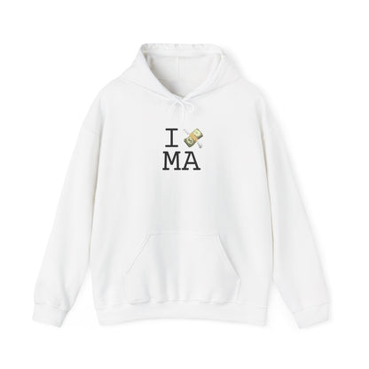 "I Lose Money in Massachusetts" Hoodie