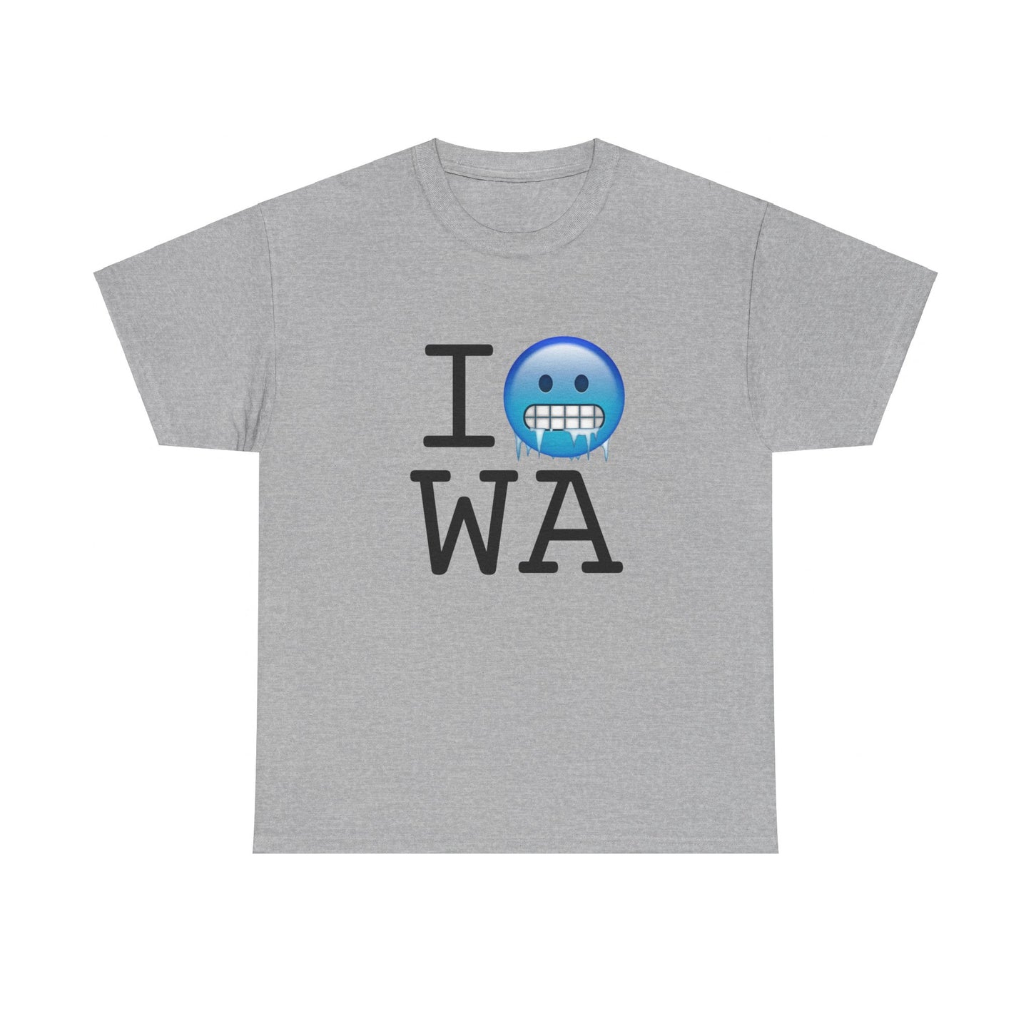 "I'm Cold in Washington" Tee