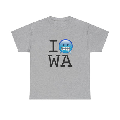 "I'm Cold in Washington" Tee