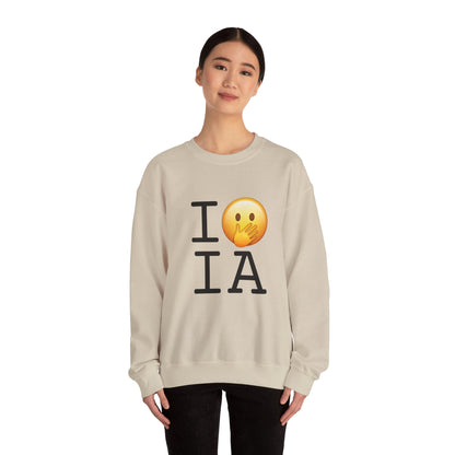 "I Messed Up (Oops) in Iowa" Sweatshirt