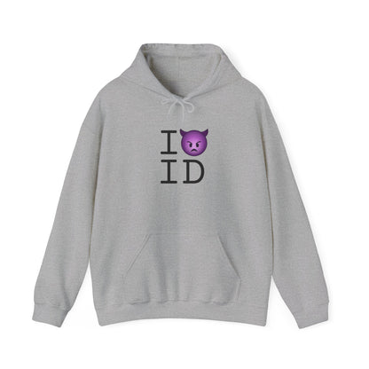 "I'm an Angry Devil about Idaho" Hoodie