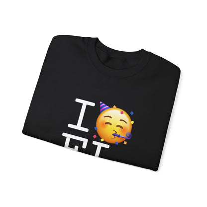 "I Celebrate Florida" Sweatshirt
