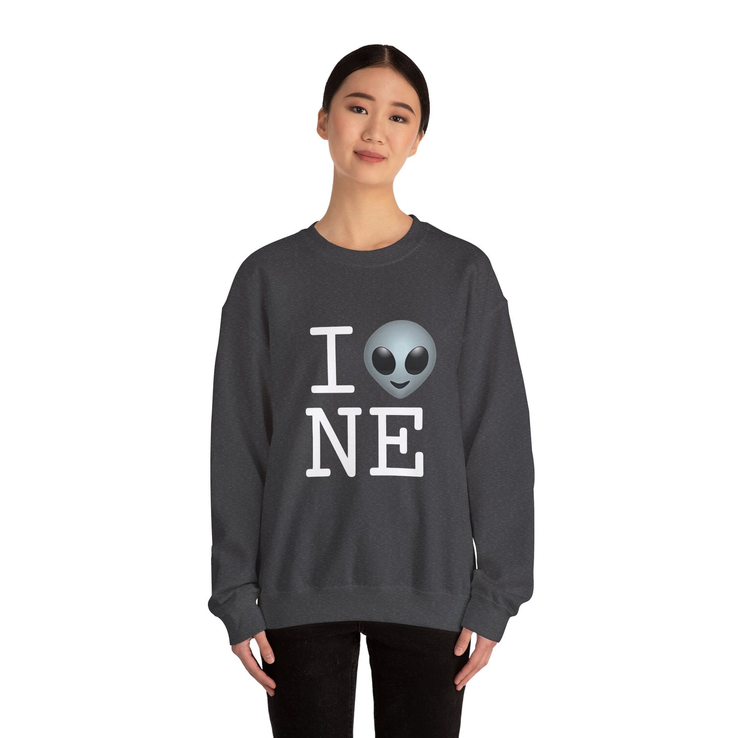 "I Feel Alien in Nebraska" Sweatshirt