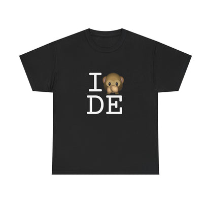 "I Don't Speak about Delaware" Tee