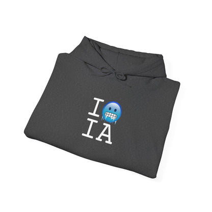 "I'm Cold in Iowa" Hoodie