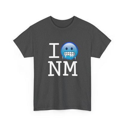 "I'm Cold in New Mexico" Tee