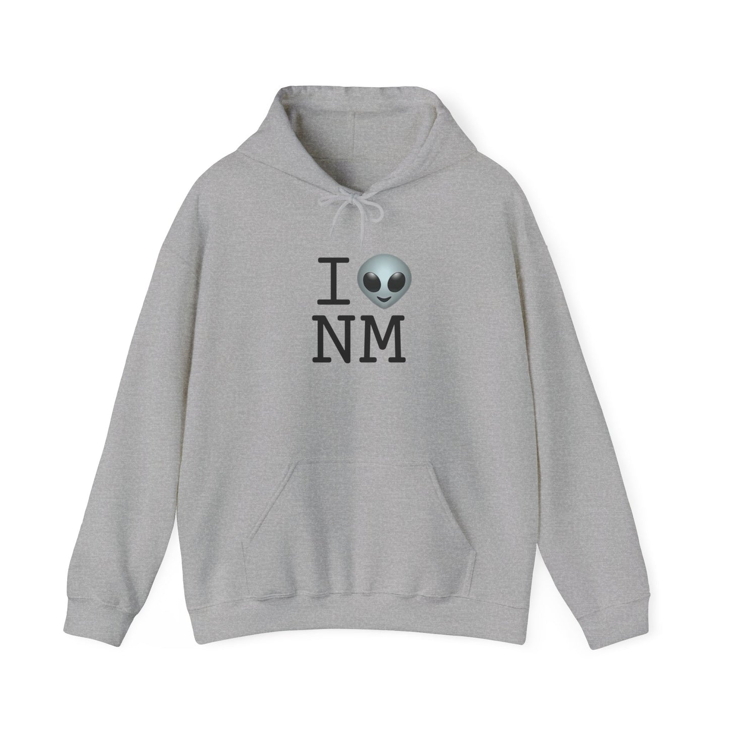 "I Feel Alien in New Mexico" Hoodie