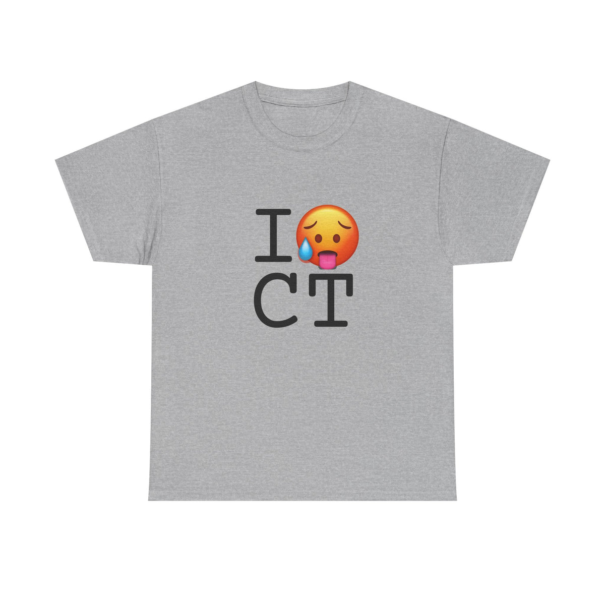 "I'm Hot in Connecticut" Tee