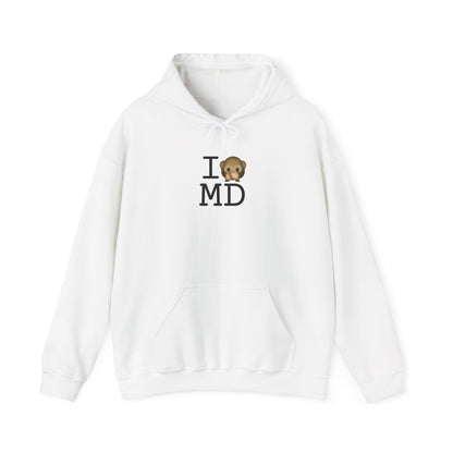 "I Don't Speak about Maryland" Hoodie