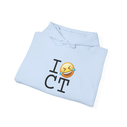 "I Laugh Hard (LMFAO) at Connecticut" Hoodie