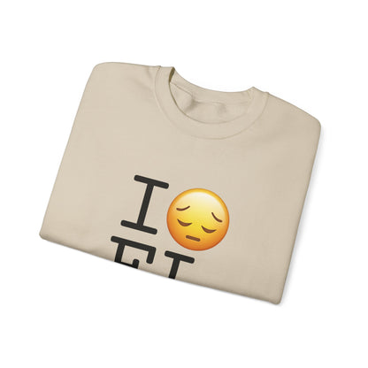 "I'm Depressed about Florida" Sweatshirt