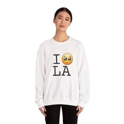 "I'm Begging about Louisiana" Sweatshirt