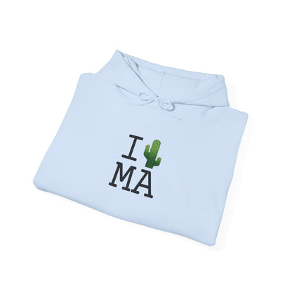 "I Cactus Massachusetts" Hoodie