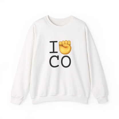 "I Raise my Fist with Colorado" Sweatshirt