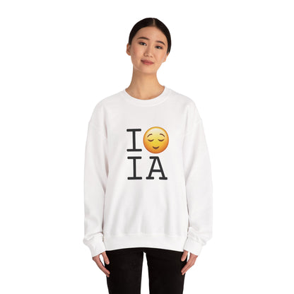 "I'm Relieved about Iowa" Sweatshirt