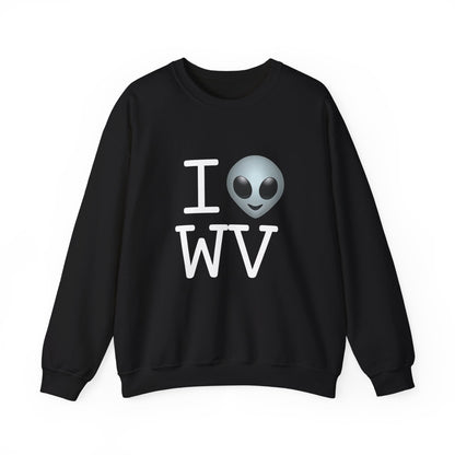 "I Feel Alien in West Virginia" Sweatshirt