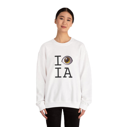 "I See (Eye) Iowa" Sweatshirt