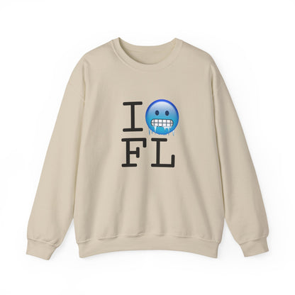 "I'm Cold in Florida" Sweatshirt