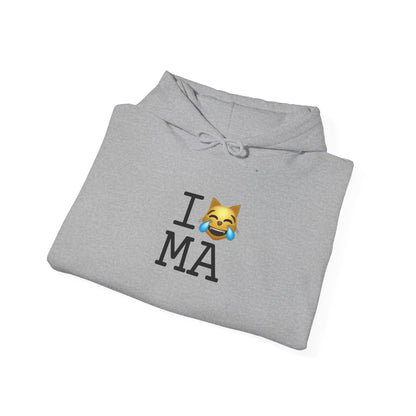 "I'm Laughing like a Cat at Massachusetts" Hoodie