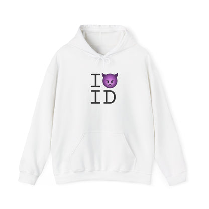 "I'm an Angry Devil about Idaho" Hoodie