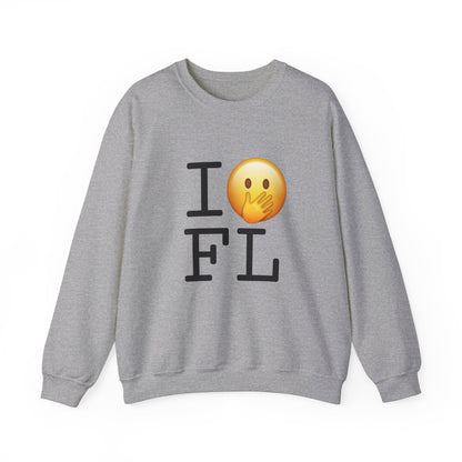 "I Messed Up (Oops) in Florida" Sweatshirt