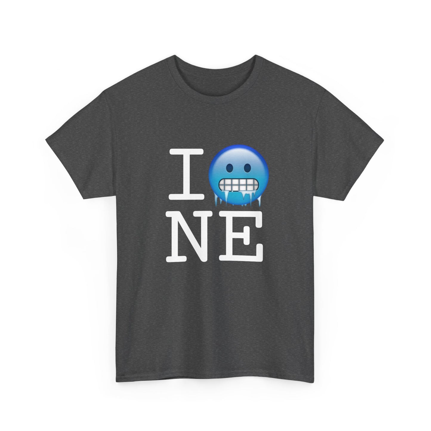 "I'm Cold in Nebraska" Tee