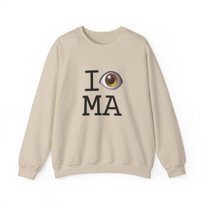 "I See (Eye) Massachusetts" Sweatshirt