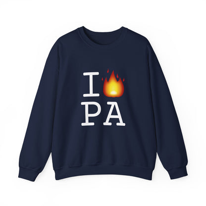 "I've got Fire for Pennsylvania" Sweatshirt