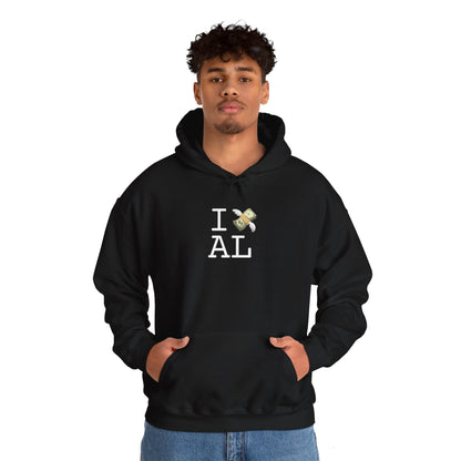 "I Lose Money in Alabama" Hoodie