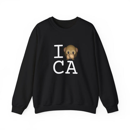 "I Don't Speak about California" Sweatshirt