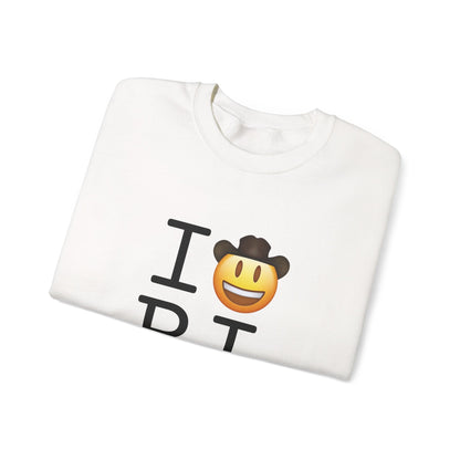 "I'm a Cowboy or Cowgirl in Rhode Island" Sweatshirt
