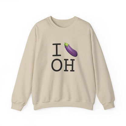 "I Eggplant Ohio" Sweatshirt