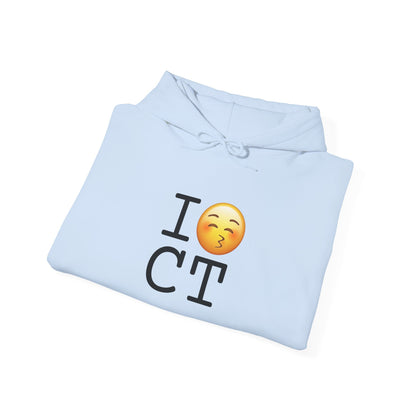 "I Kiss Connecticut" Hoodie