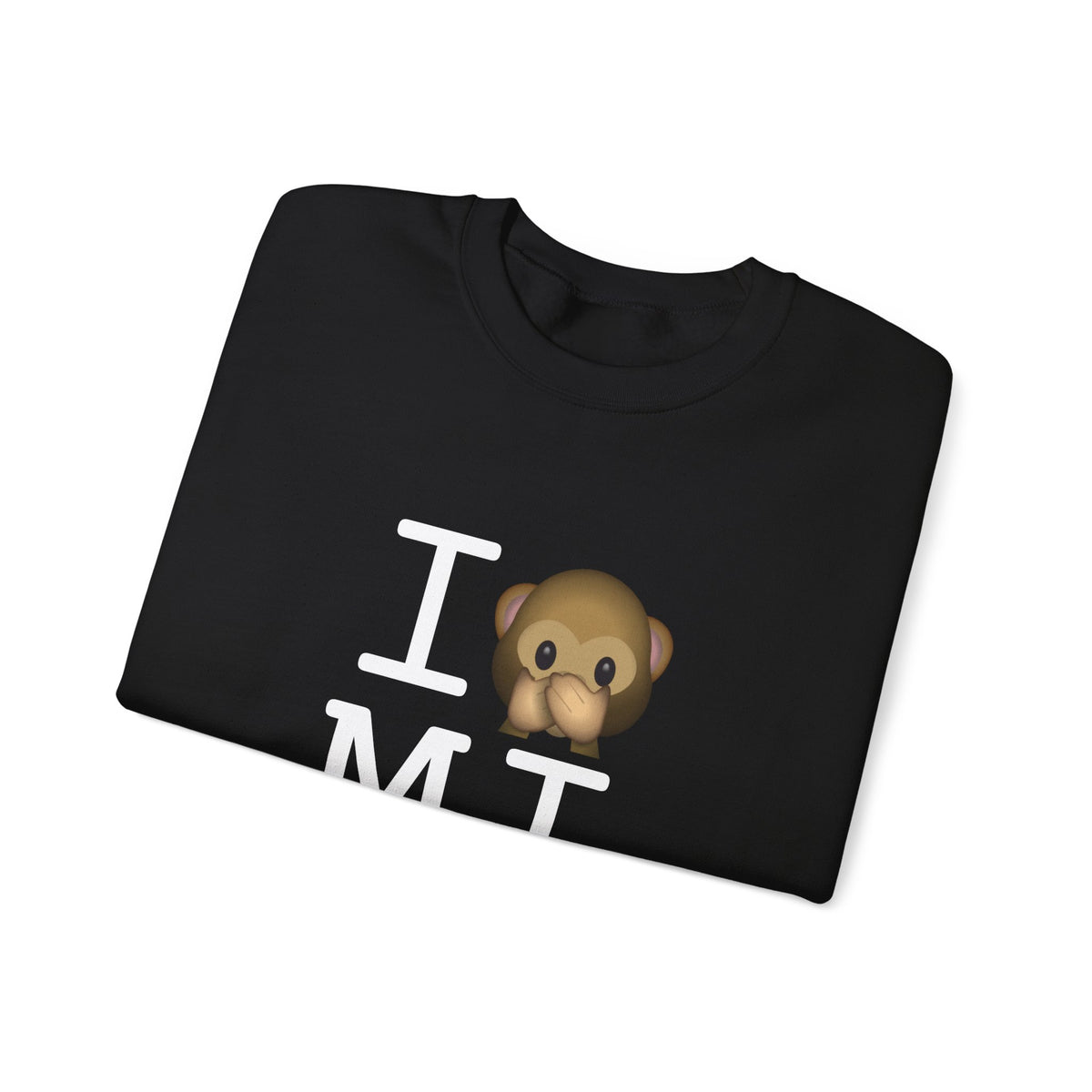 "I Don't Speak about Michigan" Sweatshirt