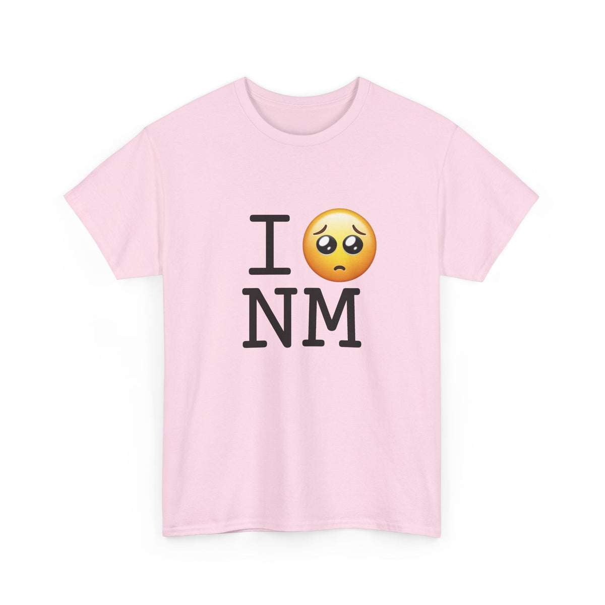 "I'm Begging about New Mexico" Tee