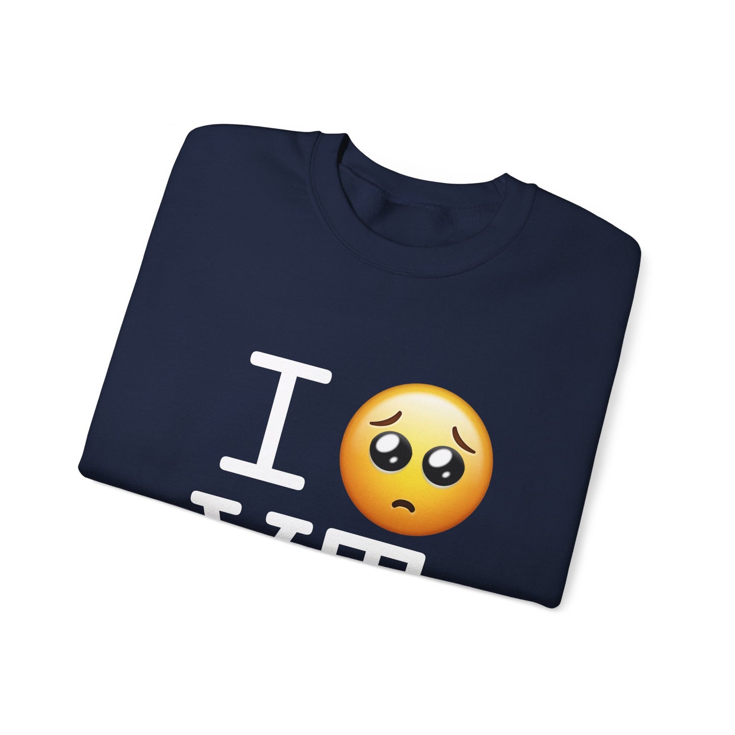 "I'm Begging about Vermont" Sweatshirt