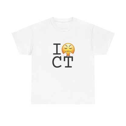 "I'm Furious about Connecticut" Tee