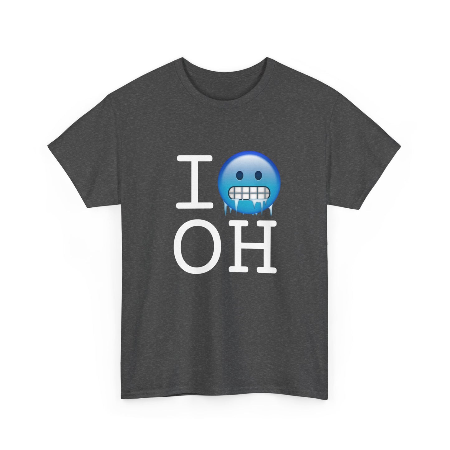 "I'm Cold in Ohio" Tee