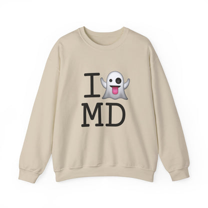 "I'm Ghosting Maryland" Sweatshirt