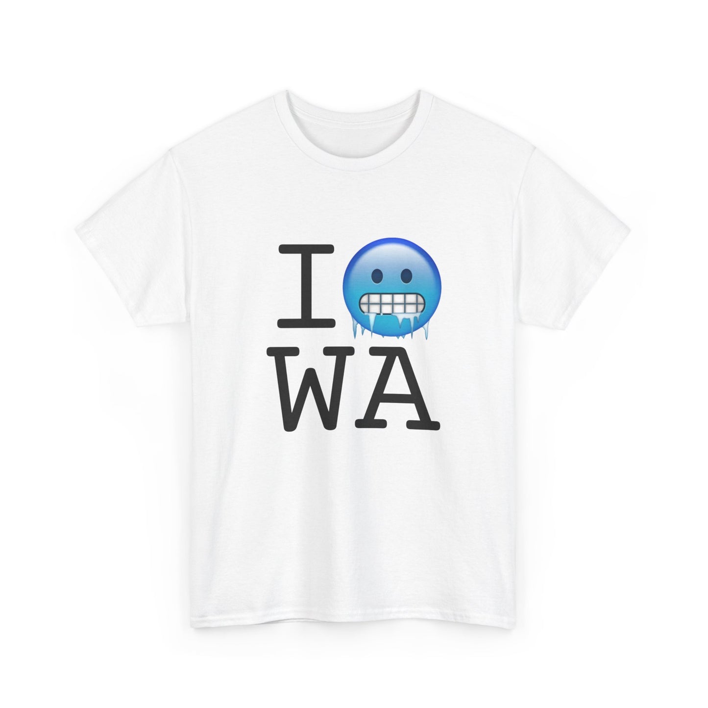 "I'm Cold in Washington" Tee