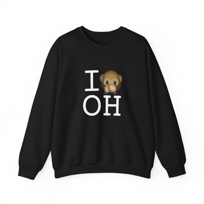 "I Don't Speak about Ohio" Sweatshirt