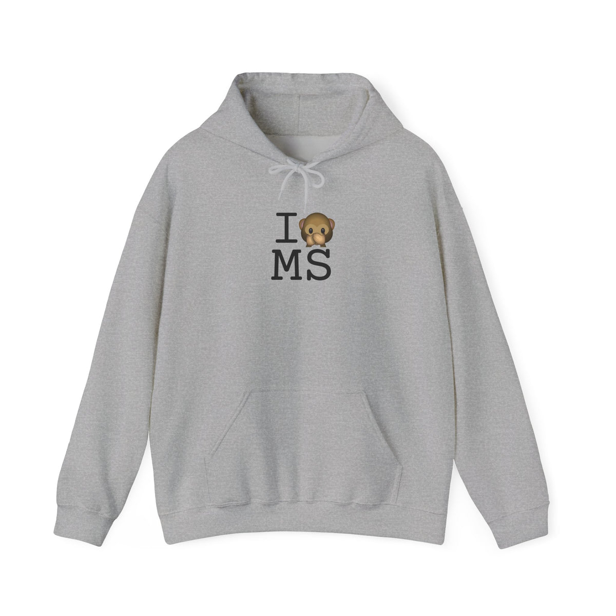 "I Don't Speak about Mississippi" Hoodie