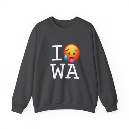 "I'm Hot in Washington" Sweatshirt
