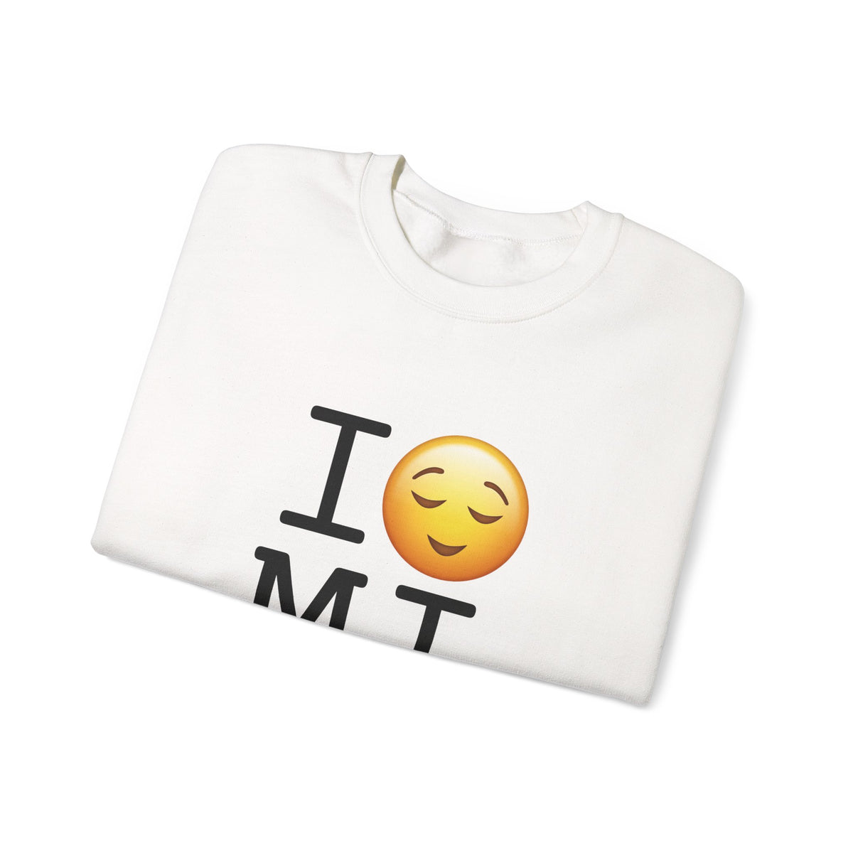 "I'm Relieved about Michigan" Sweatshirt